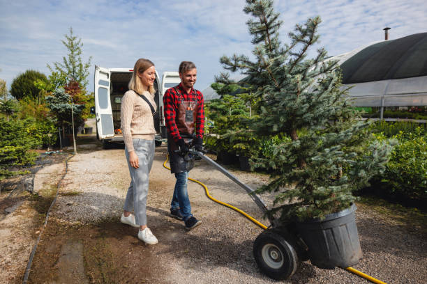 Best Stump Grinding and Removal  in Moriches, NY